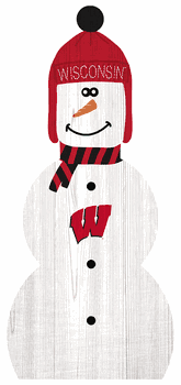 Wisconsin Badgers 31