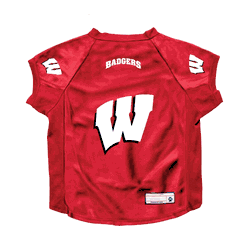Wisconsin Badgers Big Pet Stretch Jersey Big