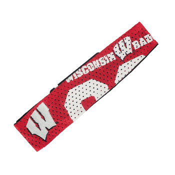 Wisconsin Badgers FanBand