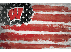 Wisconsin Badgers Flag 17x26