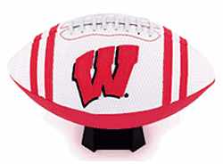 Wisconsin Badgers Full Size Jersey Football CO