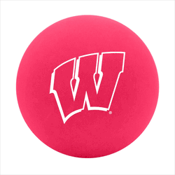 Wisconsin Badgers High Bounce Ball