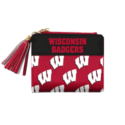 Wisconsin Badgers Mini Organizer