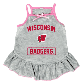 Wisconsin Badgers Pet Dress Grey Type Large