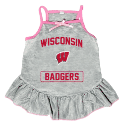 Wisconsin Badgers Pet Dress Grey Type XSmall