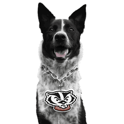 Wisconsin Badgers Pet Fan Chain