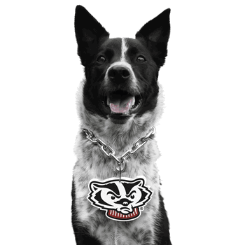 Wisconsin Badgers Pet Fan Chain