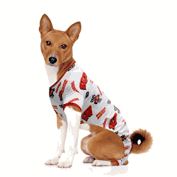 Wisconsin Badgers Pet PJs Extra Small
