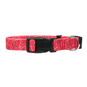 Wisconsin Badgers Pet Team Collar Medium