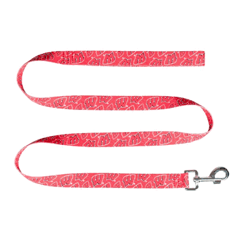 Wisconsin Badgers Pet Team Lead 1in x 60in