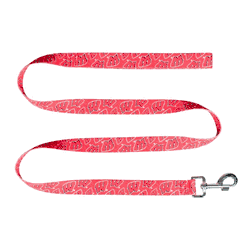 Wisconsin Badgers Pet Team Lead 1in x 60in