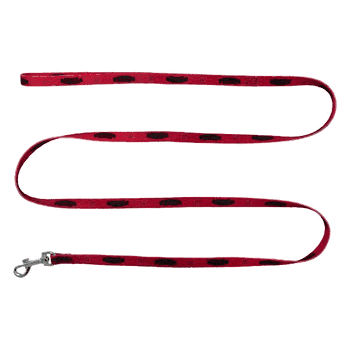 Wisconsin Badgers Pet Team Lead .375 x 60