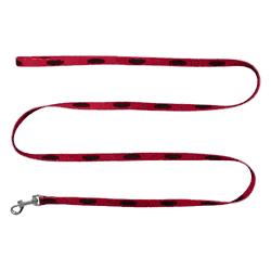 Wisconsin Badgers Pet Team Lead .375 x 60