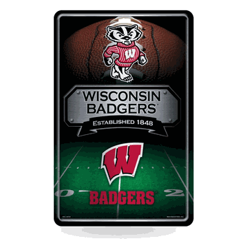 Wisconsin Badgers Standard 11