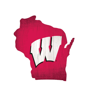 Wisconsin Badgers Team Color Logo State Sign
