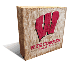 Wisconsin Badgers Team Logo Block 6X6