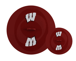 Wisconsin Badgers Topperz