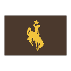 Wyoming Cowboys HiDef Rookie Mat - 18in. X 30in.