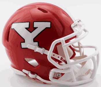 Youngstown State Penguins NCAA Mini Speed Football Helmet