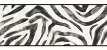 Growing Up Kids Motion Dazzle Zebra Wallpaper Border GK8969bd