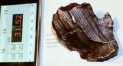 0.315 kg Iron-Meteorite Witnessed Fall in Siberia16.2.1947.