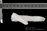 Transsylvanian Cathedral Quartz Transsylvanian Cathedral Quartz