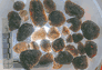 Agni Manitite,Indonesia(Volcanic:<BR>neither tektite nor Cintanami stone!)
