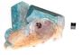 Amazonite 710g 19a