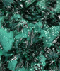 Atacamite XX  from Atacama, Chile