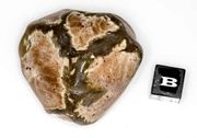 Australian Amulett Stone, Australischer Amulettstein