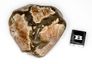 Australian Amulett Stone, Australischer Amulettstein Australian Amulett Stone, Australischer Amulettstein