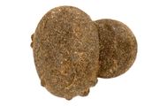 bohemian concretion