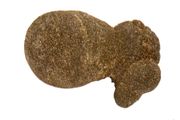 bohemian concretion appr. 200gr Sample image only - actual pieces are a bit different but of similar quality - handpicked for you