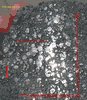 C3 - Ungrouped, Dar al Gani 978 C3 - Ungrouped, Dar al Gani 978