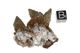 Calzit / pyrite fr. reynolds cty, USA ( #07 ) Calzit / pyrite fr. reynolds cty, USA ( #07 )