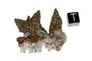 Calzit / pyrite fr. reynolds cty, USA ( #07 ) Calzit / pyrite fr. reynolds cty, USA ( #07 )