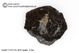 Carbon.Chondrite, CV3,  Fall, Mexico 12.95g