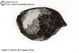 Carbon.Chondrite, CV3, Fall, Mexico 6.94g Carbon.Chondrite, CV3, Fall, Mexico 6.94g