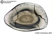 carved fluorite cups (Fluoritschalen)