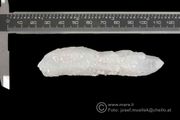Cathedral Quartz Crystals fr.Transsylvaniya