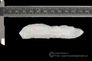 Cathedral Quartz Crystals fr.Transsylvaniya