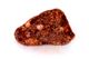 Chondrite L4-6 NWA869, 105g Chondrite L4-6 NWA869, 105g