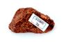 Chondrite L4-6 NWA869, 105g