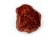 Chondrite L4-6 NWA869, 146g