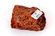 Chondrite L4-6 NWA869, 208g