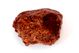 Chondrite L4-6 NWA869, 208g Chondrite L4-6 NWA869, 208g