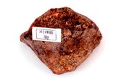 Chondrite L4-6 NWA869, 288g