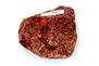 Chondrite L4-6 NWA869, 327g