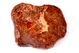 Chondrite L4-6 NWA869, 734g Chondrite L4-6 NWA869, 734g