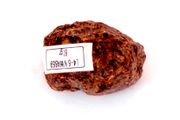 Chondrite L4-6 NWA869, 81g